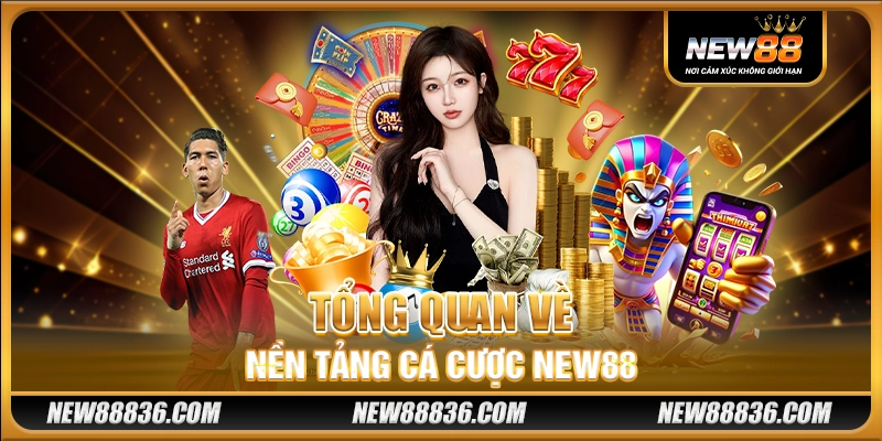 Tổng quan về nền tảng cá cược New88