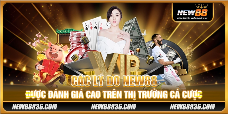 Các lý do New88 được đánh giá cao trên thị trường cá cược